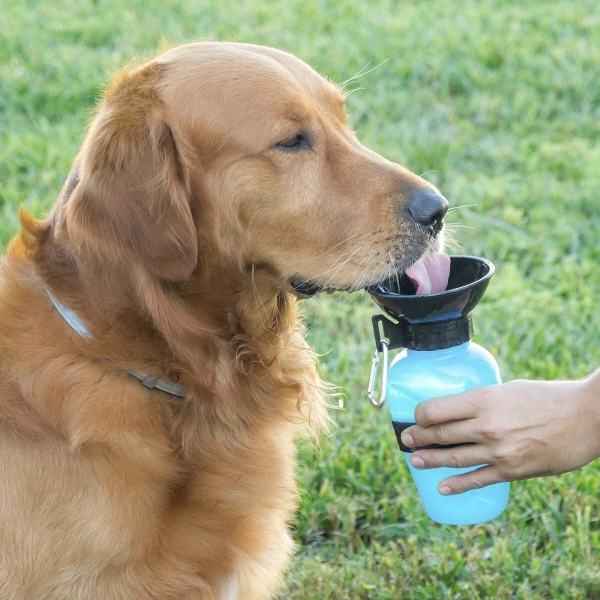 imagen de Botella Bebedero de Agua para Perros